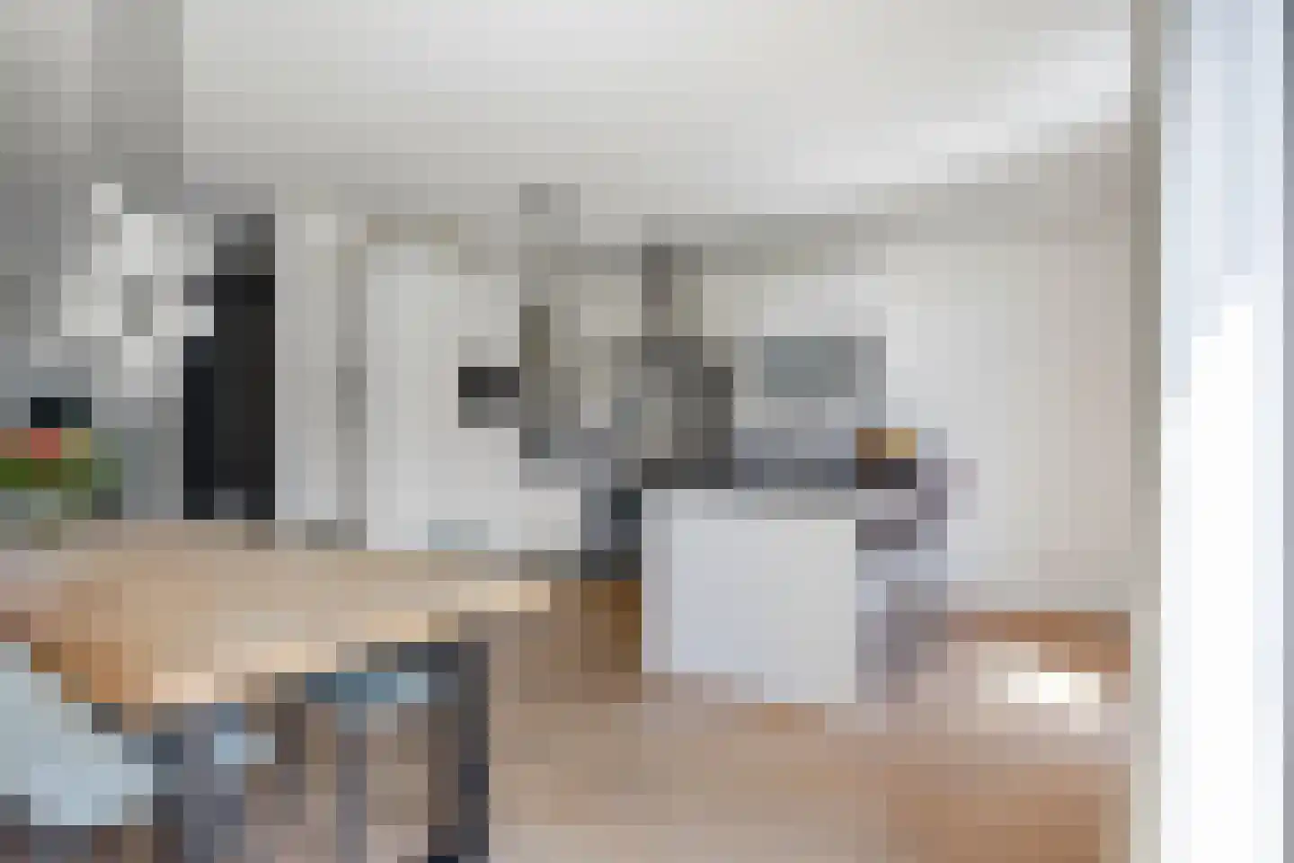 Villa Waterranonkel 53 Waalwijk thumbnail 16
