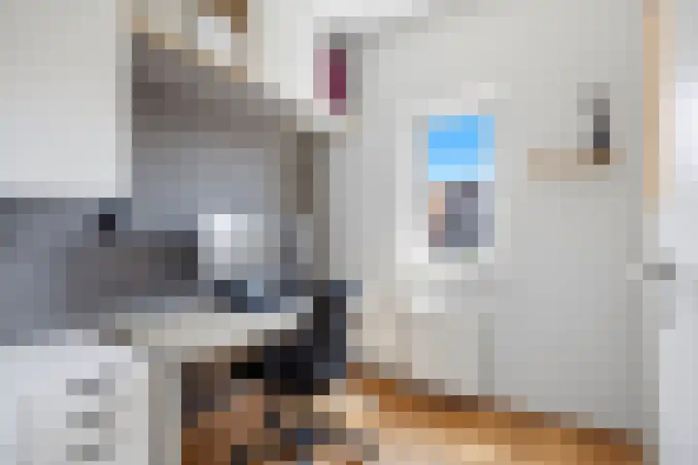 Villa Waterranonkel 53 Waalwijk thumbnail 31