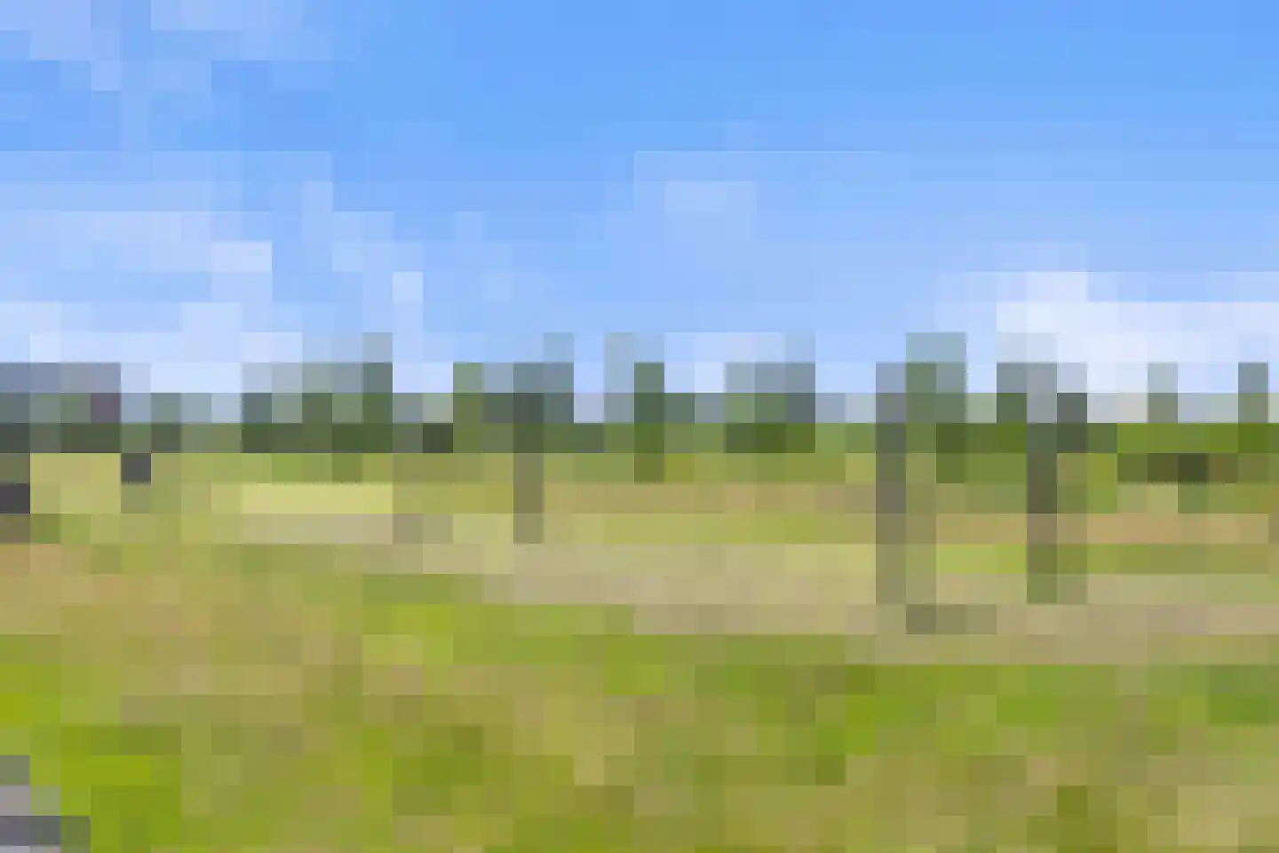 Villa Waterranonkel 53 Waalwijk thumbnail 53