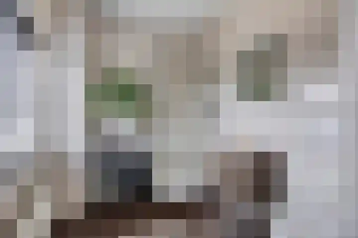 Villa Waterranonkel 59 Waalwijk thumbnail 21