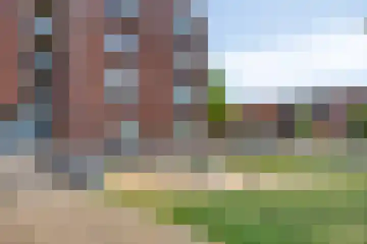 Villa Waterranonkel 59 Waalwijk thumbnail 26