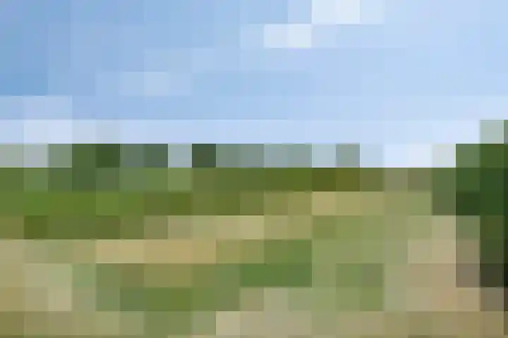 Villa Waterranonkel 59 Waalwijk thumbnail 27