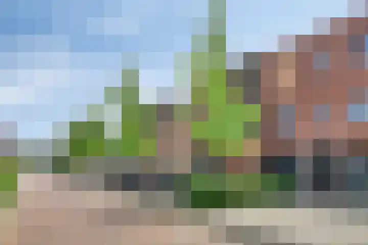 Villa Waterranonkel 59 Waalwijk thumbnail 29