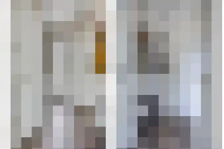 Villa Waterranonkel 59 Waalwijk thumbnail 6