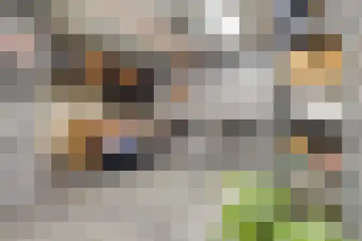 Villa Waterranonkel 59 Waalwijk thumbnail 8