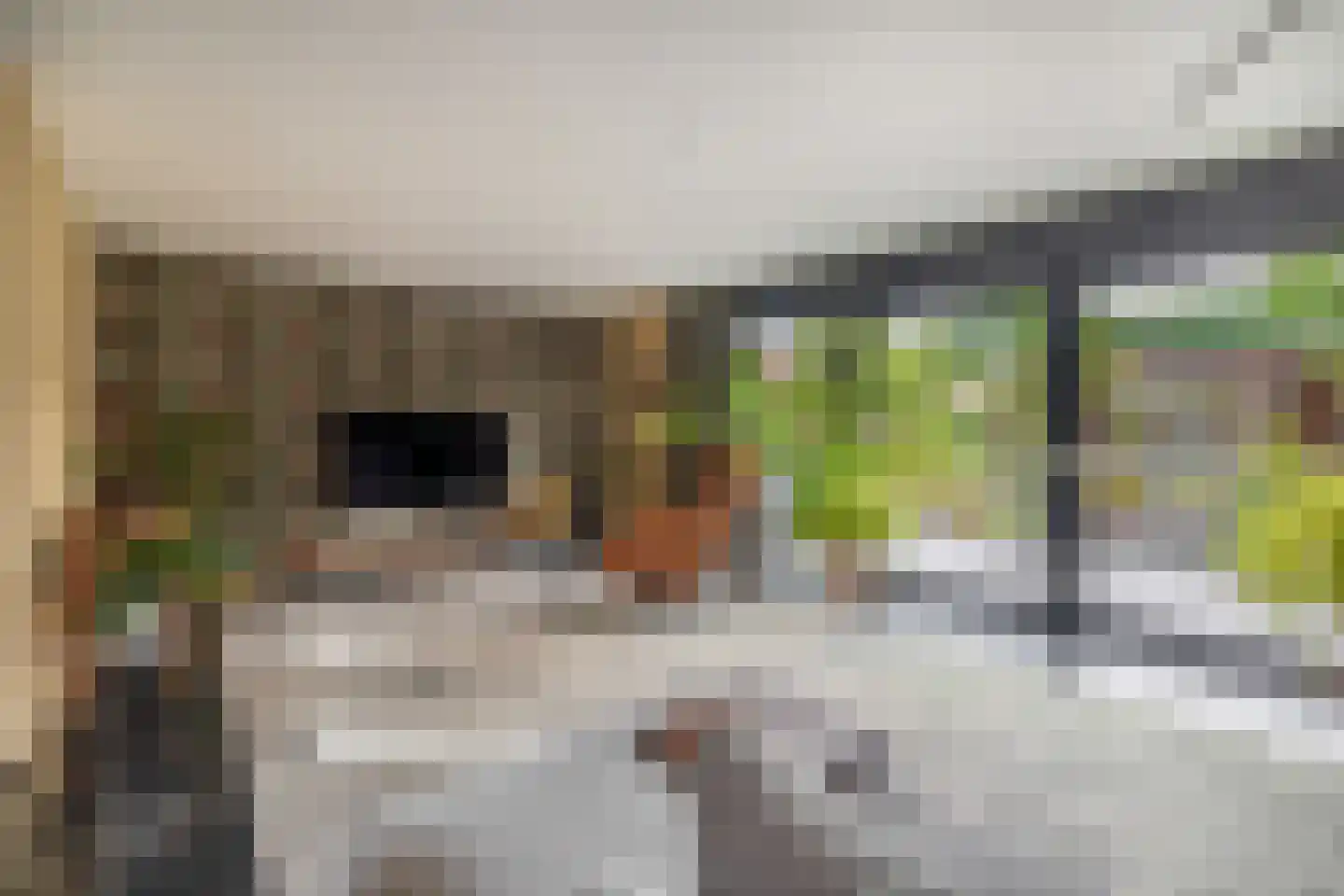 Villa Waterviolier 15 Waalwijk thumbnail 18