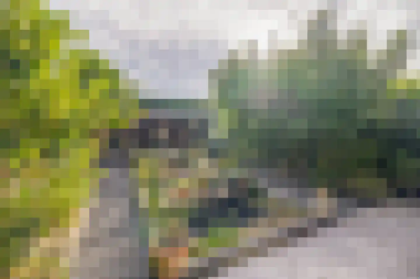 Villa Waterviolier 15 Waalwijk thumbnail 20
