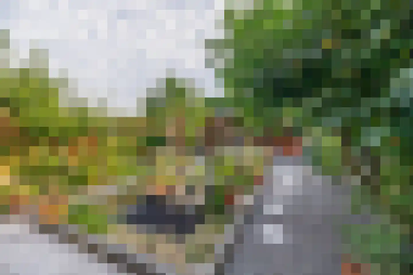 Villa Waterviolier 15 Waalwijk thumbnail 21