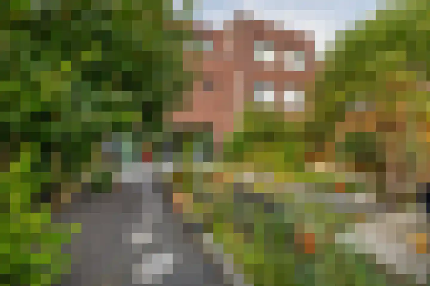 Villa Waterviolier 15 Waalwijk thumbnail 22