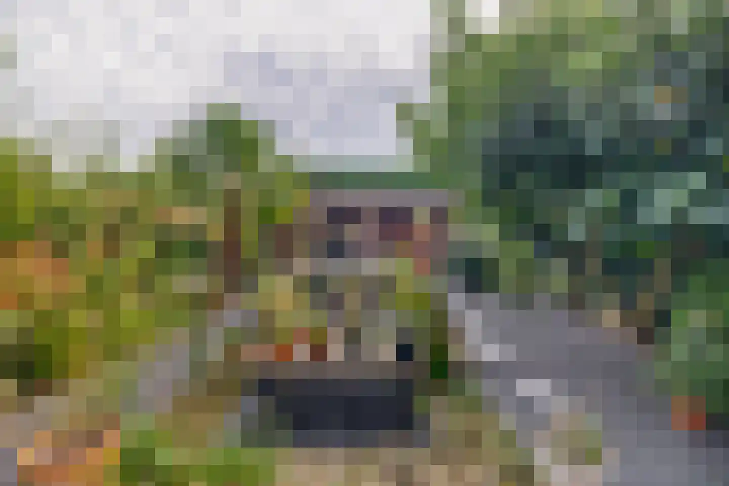 Villa Waterviolier 15 Waalwijk thumbnail 27