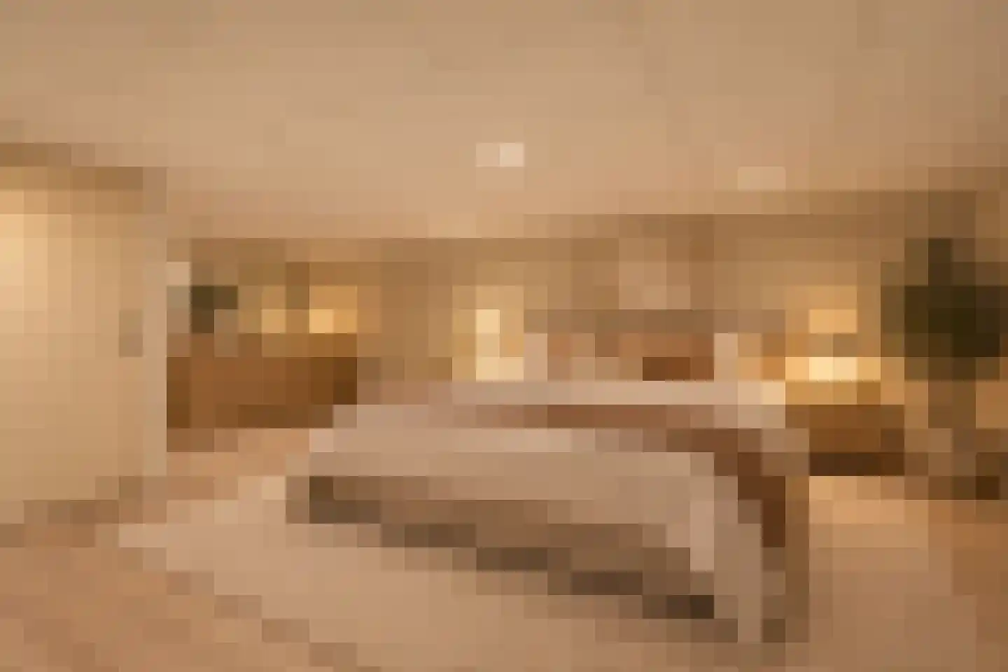 Villa Waterviolier 15 Waalwijk thumbnail 47