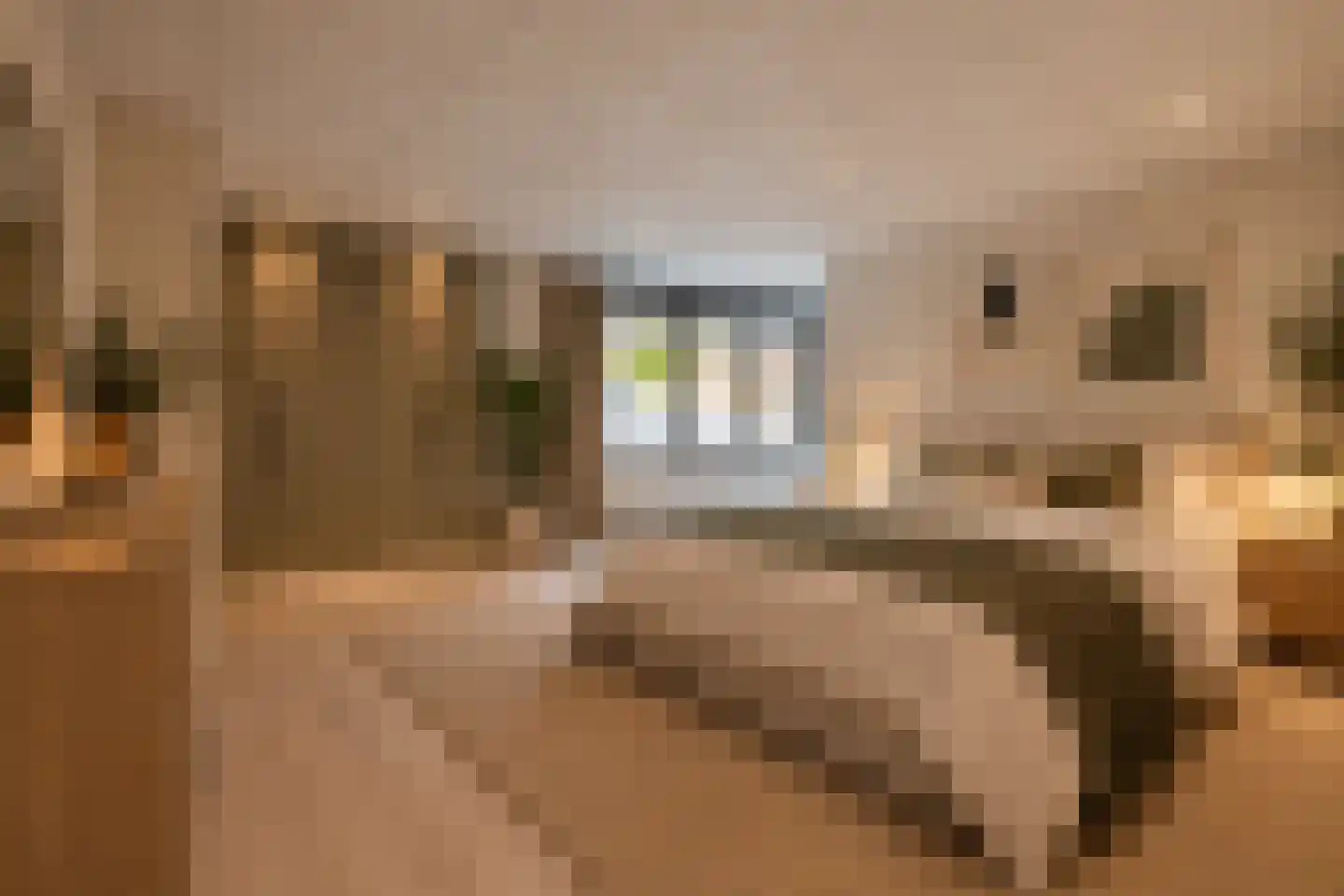 Villa Waterviolier 15 Waalwijk thumbnail 50