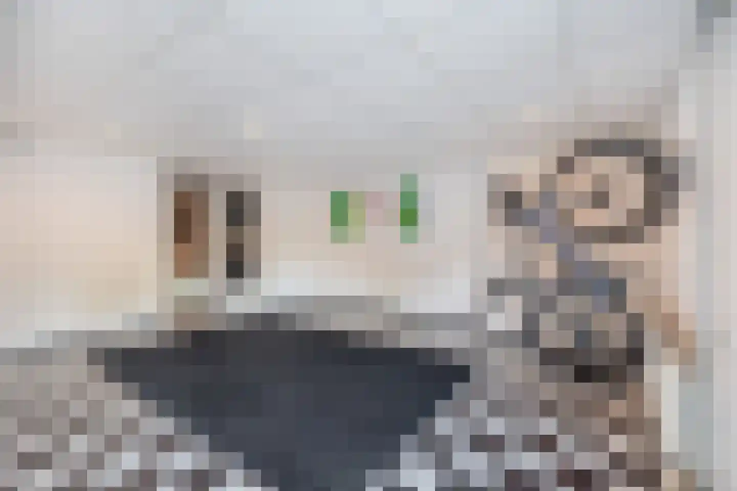 Villa Waterviolier 15 Waalwijk thumbnail 51