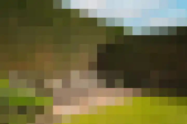 Villa Waterviolier 17 Waalwijk thumbnail 30