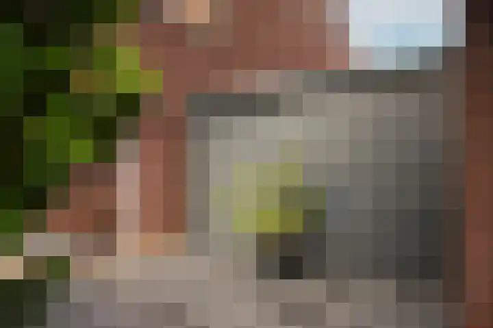 Villa Waterviolier 17 Waalwijk thumbnail 31