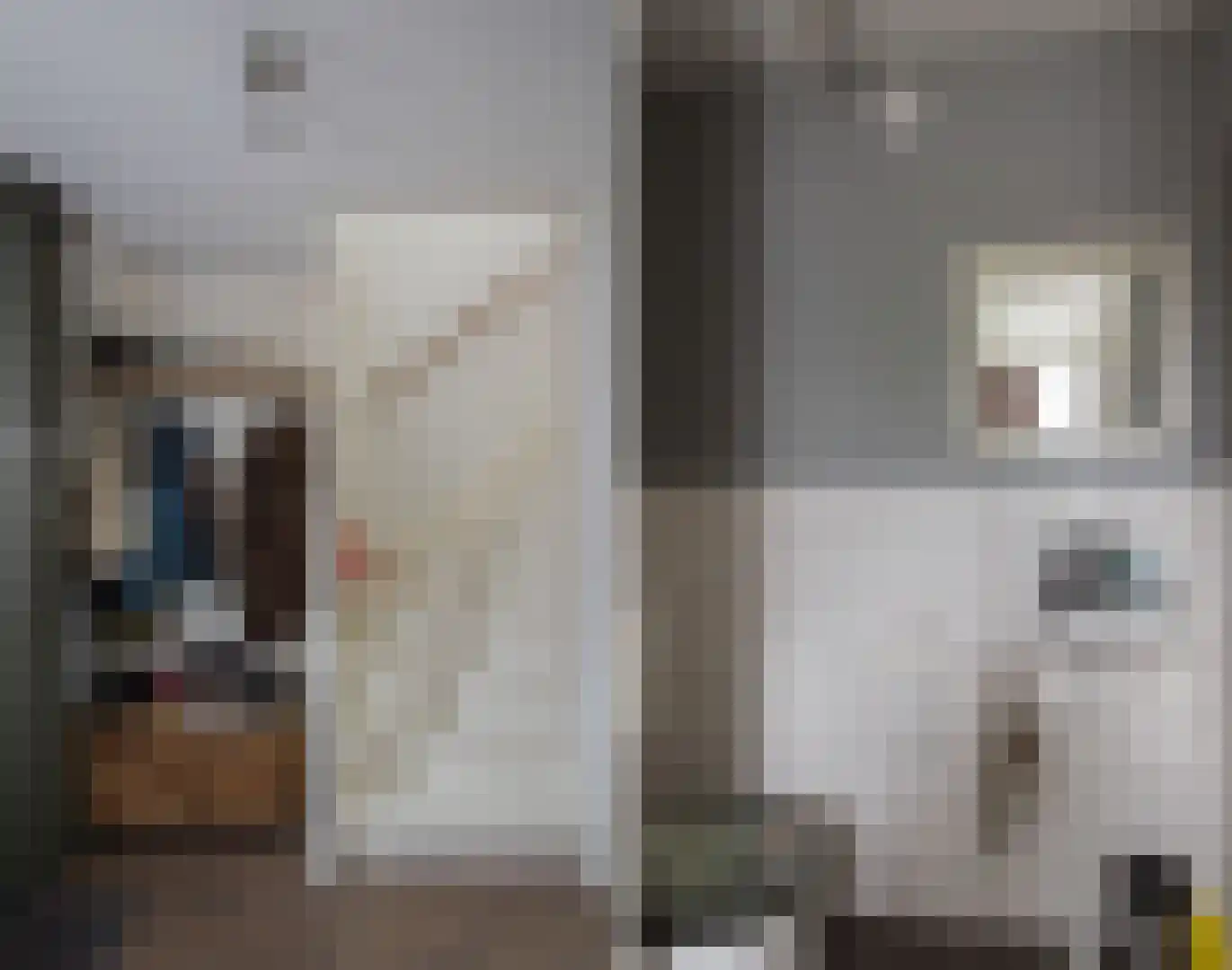 Villa Waterviolier 22 Waalwijk thumbnail 8