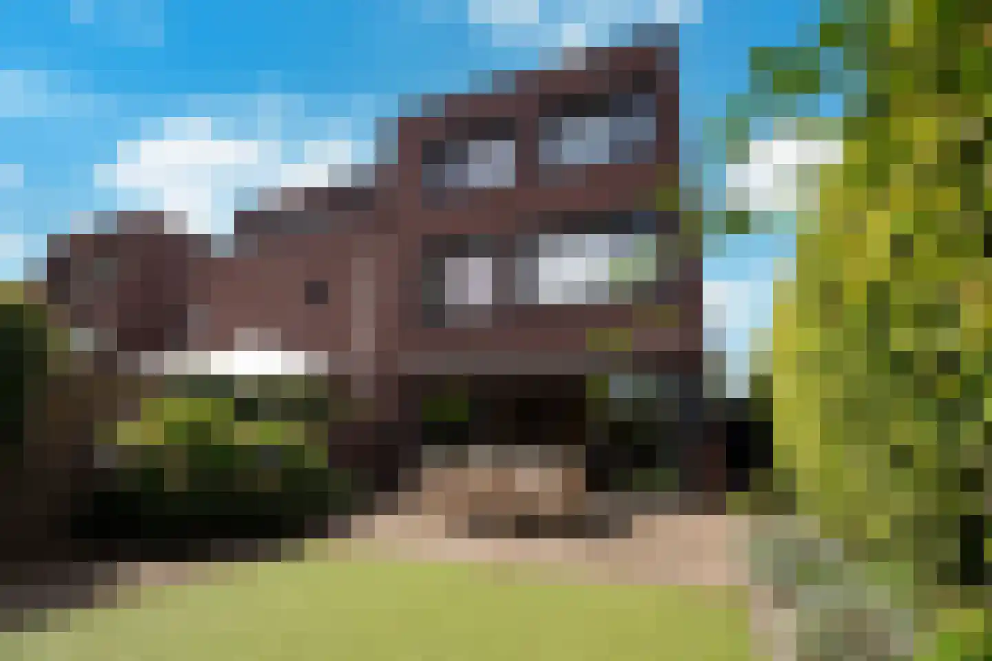 Villa Waterviolier 25 Waalwijk thumbnail 26