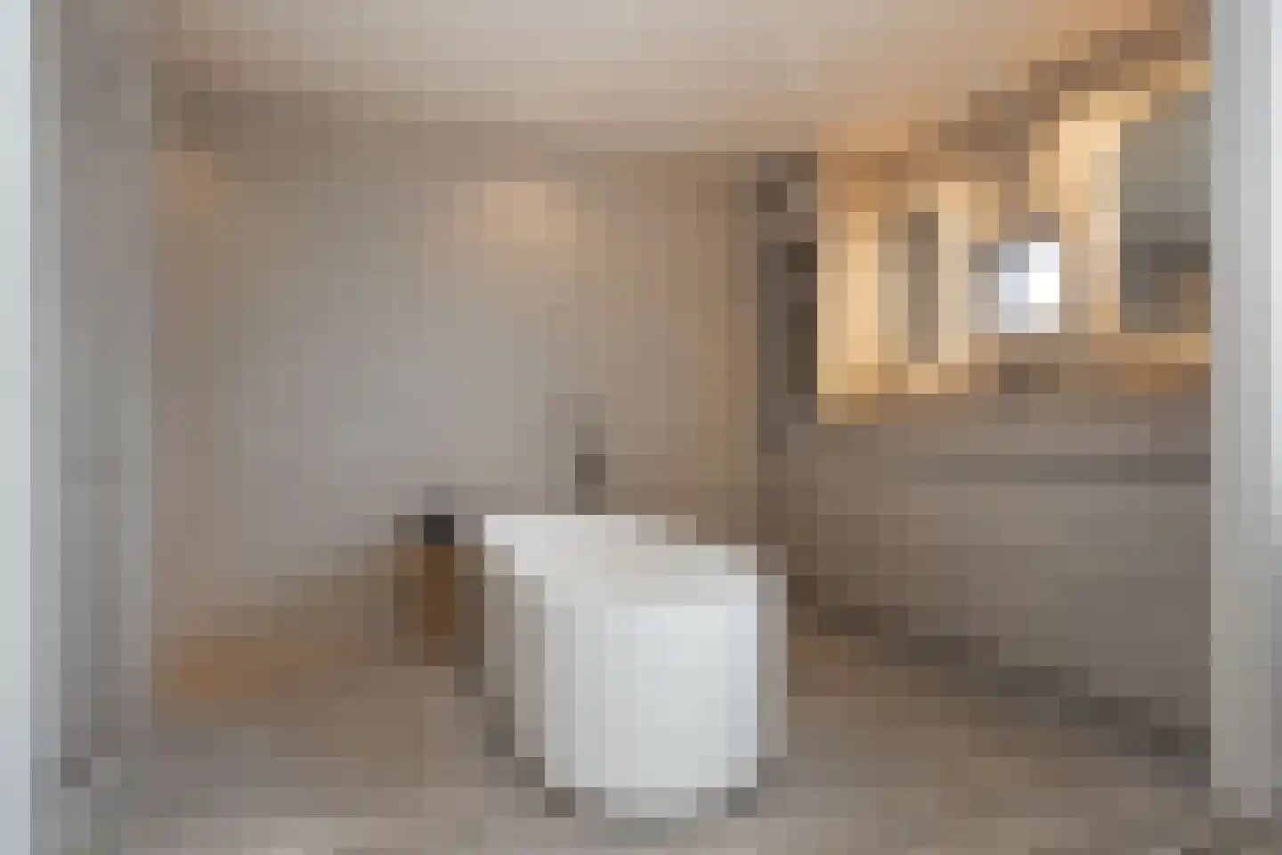 Villa Waterviolier 25 Waalwijk thumbnail 35