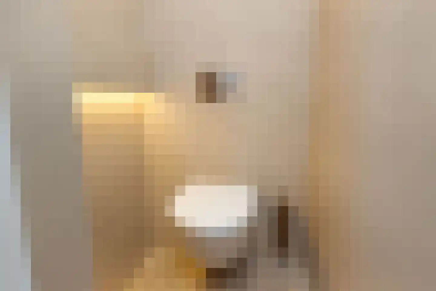 Villa Waterviolier 25 Waalwijk thumbnail 38