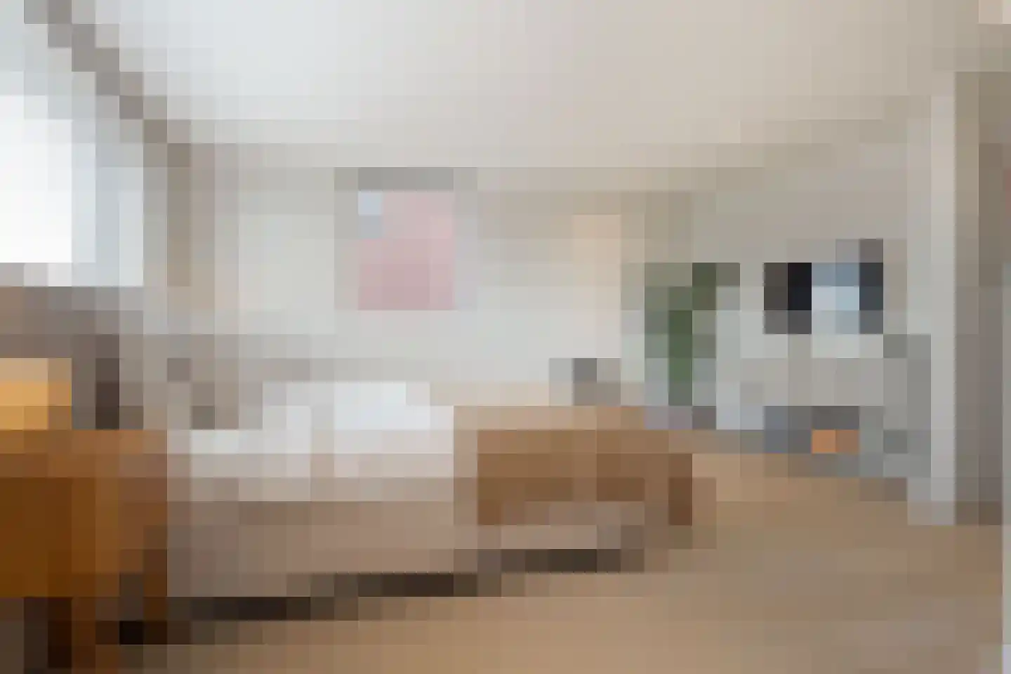 Villa Waterviolier 25 Waalwijk thumbnail 39