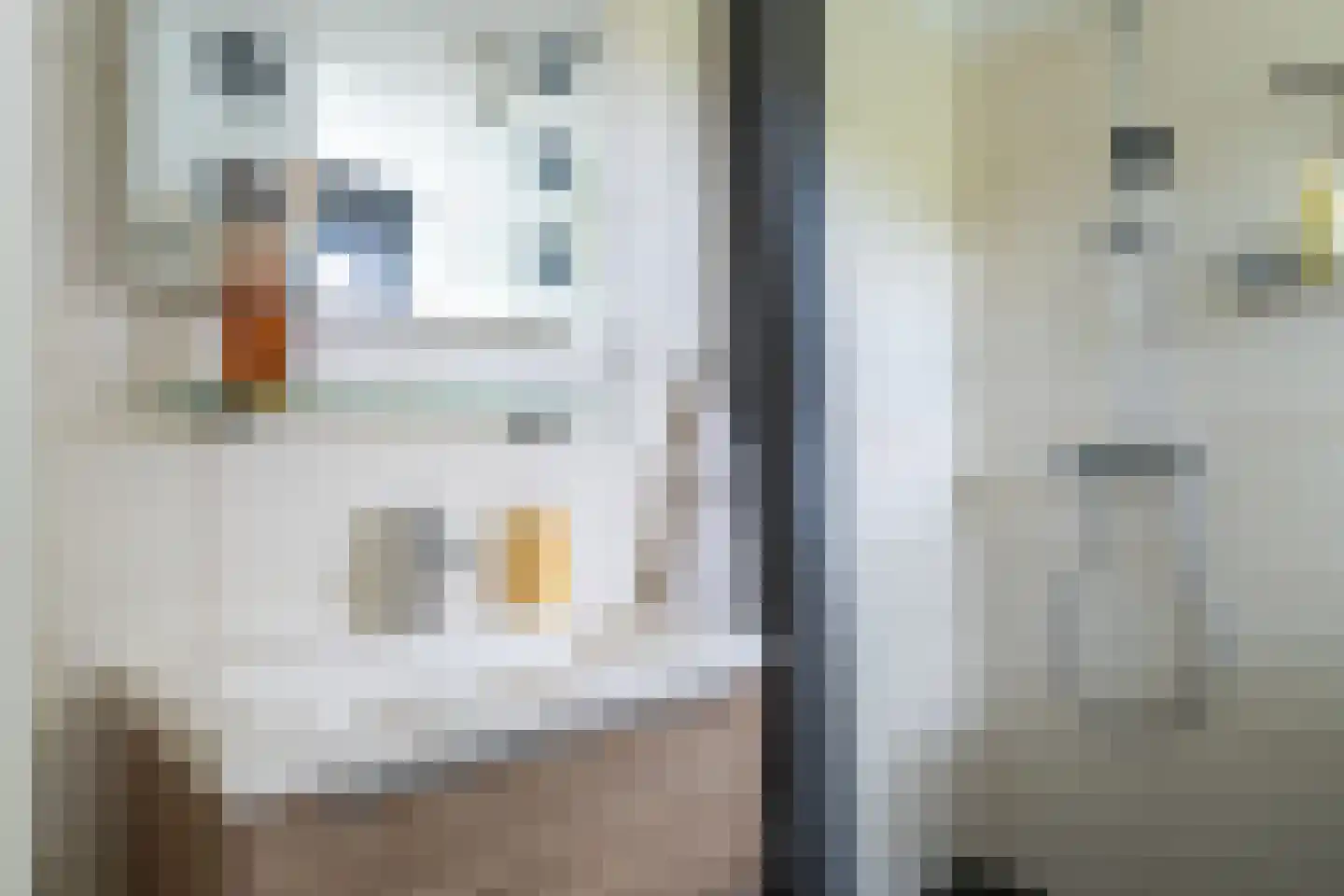 Villa Waterviolier 28 Waalwijk thumbnail 20