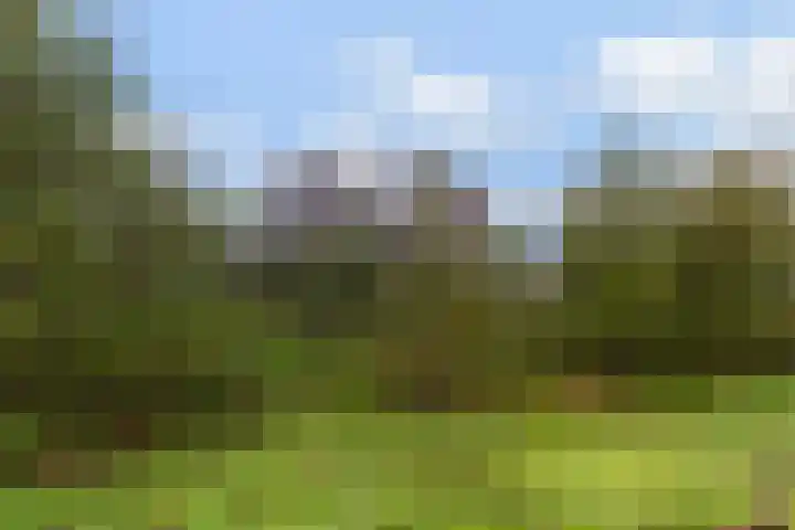 Villa Waterviolier 8 Waalwijk thumbnail 26