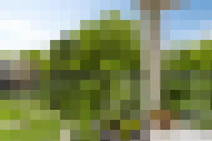 Villandry 44 Nijmegen thumbnail 33