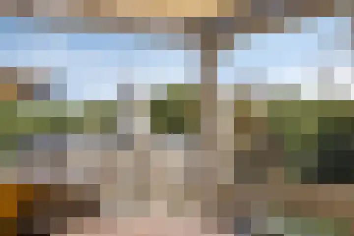 Villandry 46 Nijmegen thumbnail 37