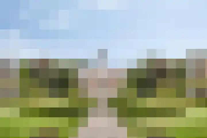 Villandry 46 Nijmegen thumbnail 46