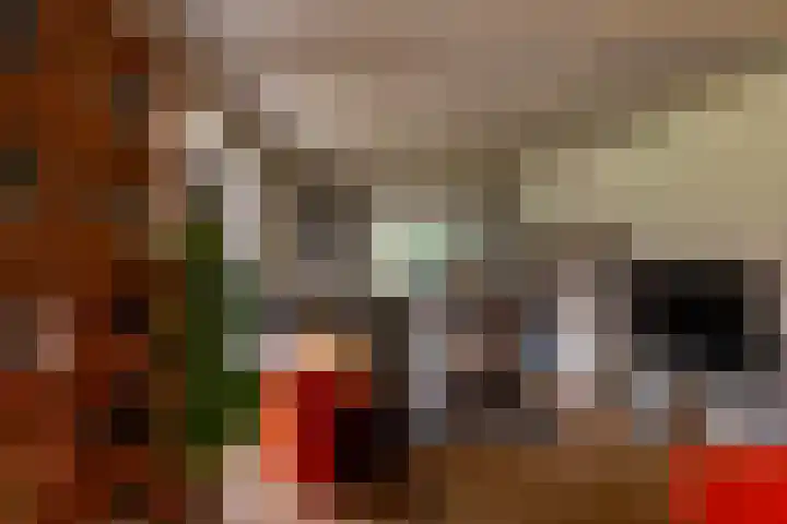 Villapark 1 Tynaarlo thumbnail 10