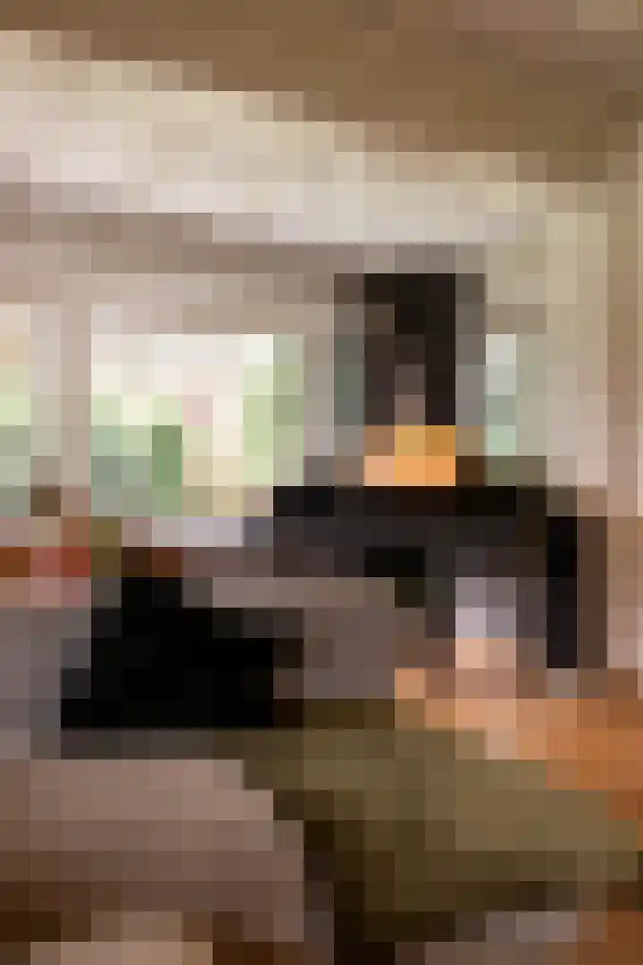 Villapark 1 Tynaarlo thumbnail 11
