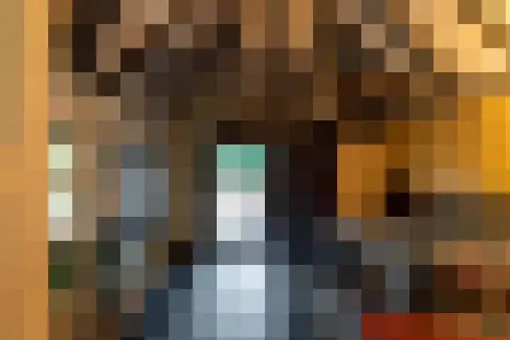 Villapark 1 Tynaarlo thumbnail 18