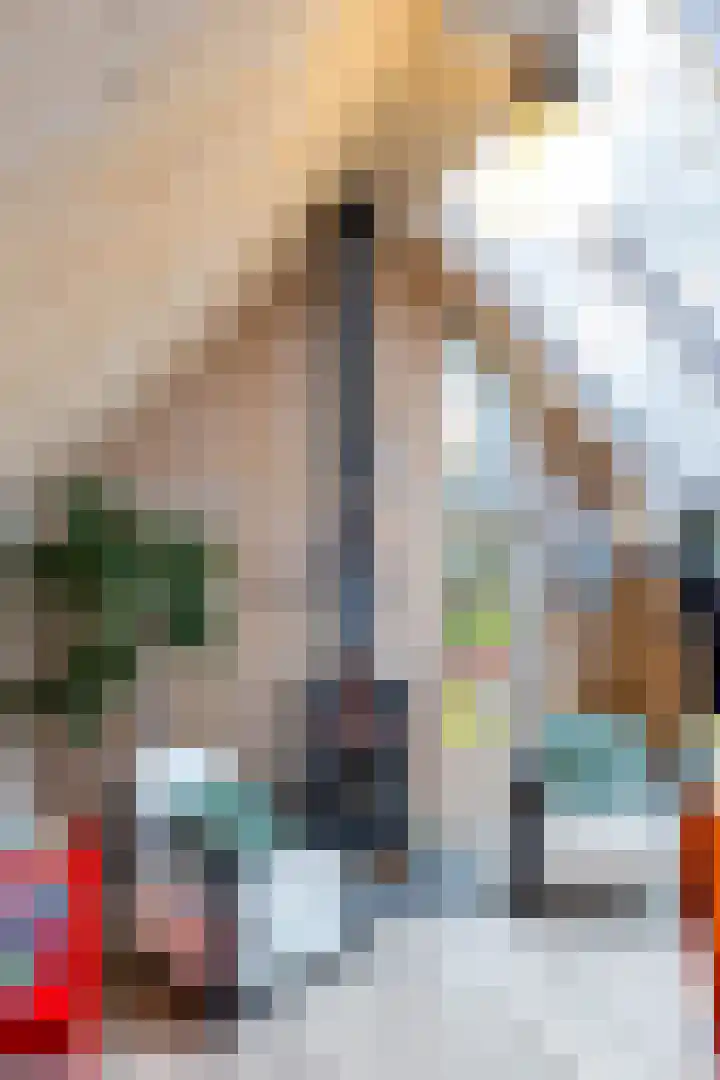 Villapark 1 Tynaarlo thumbnail 30