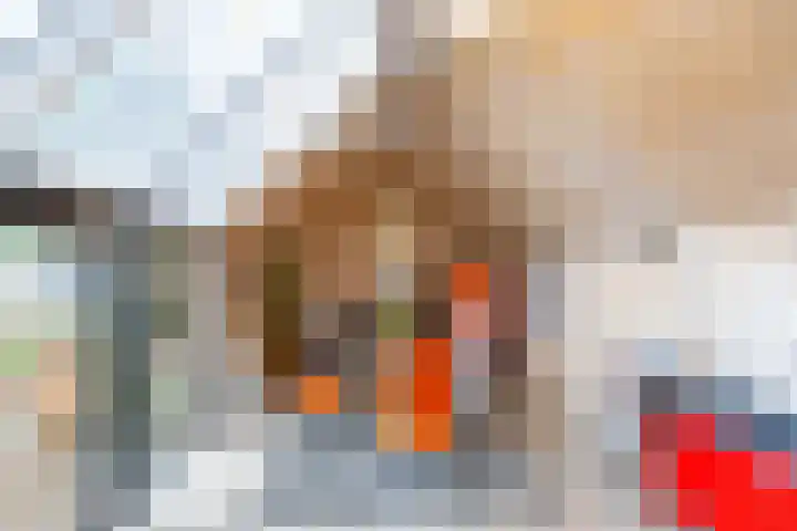 Villapark 1 Tynaarlo thumbnail 31