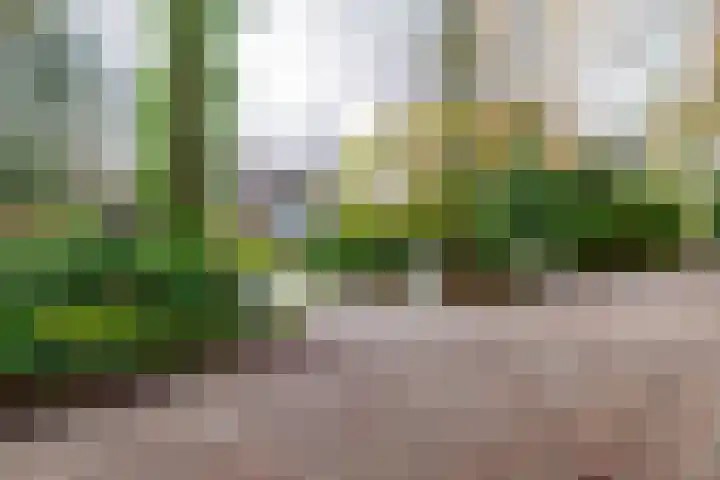 Villapark 1 Tynaarlo thumbnail 32