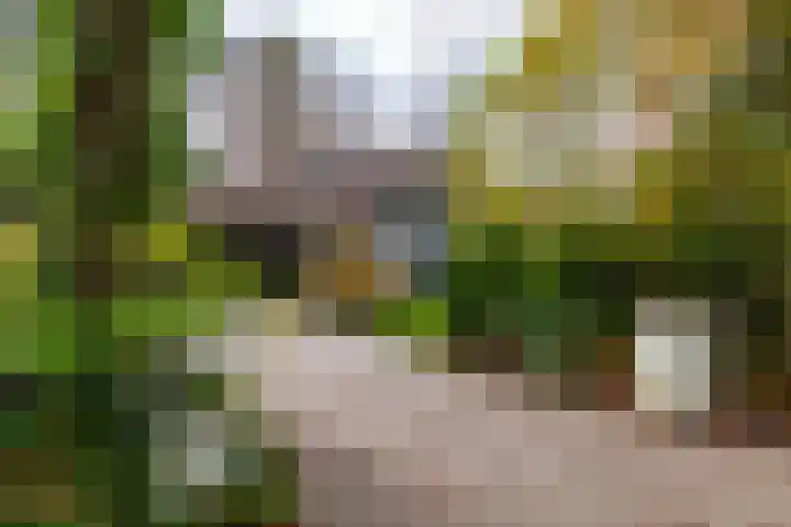 Villapark 1 Tynaarlo thumbnail 33