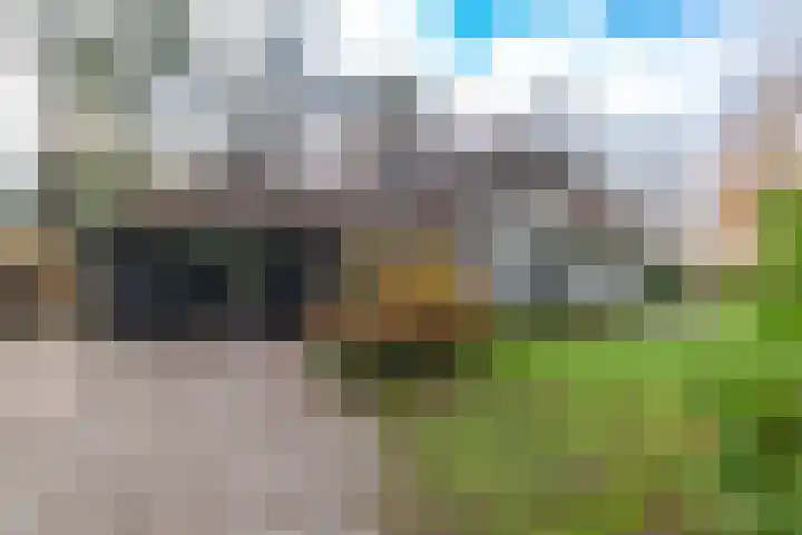 Villapark 1 Tynaarlo thumbnail 34