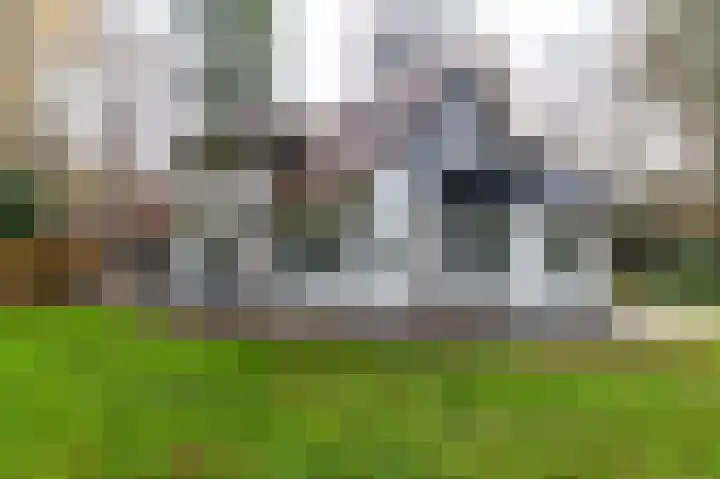 Villapark 1 Tynaarlo thumbnail 35