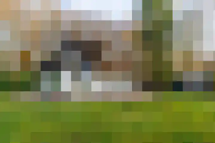 Villapark 1 Tynaarlo thumbnail 36