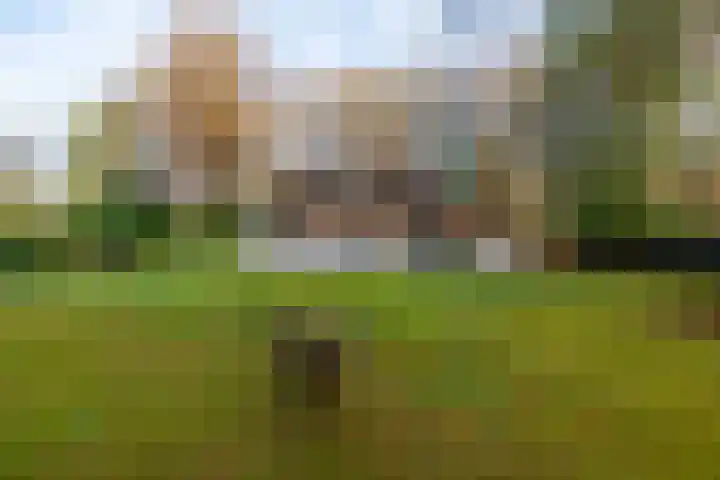 Villapark 1 Tynaarlo thumbnail 37
