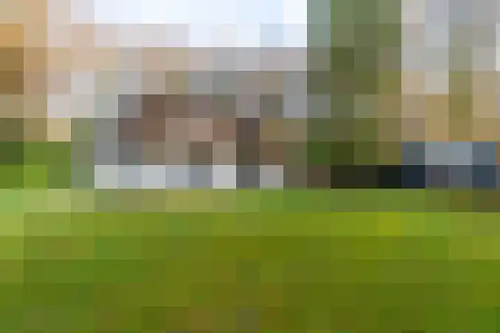 Villapark 1 Tynaarlo thumbnail 38
