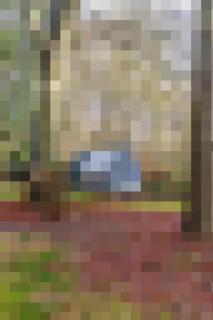 Villapark 1 Tynaarlo thumbnail 39