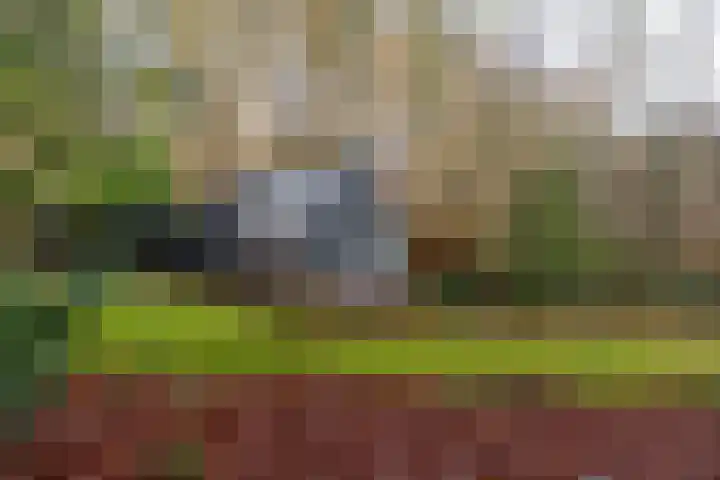 Villapark 1 Tynaarlo thumbnail 40