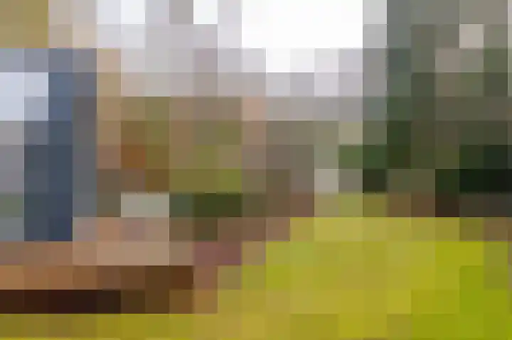 Villapark 1 Tynaarlo thumbnail 41