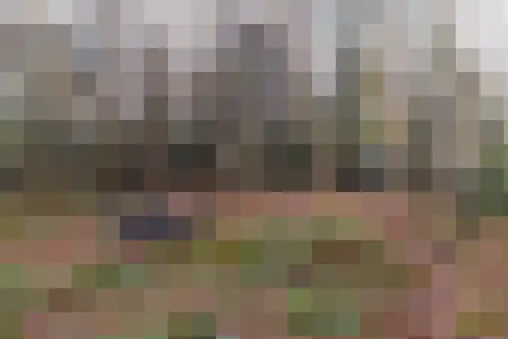 Villapark 1 Tynaarlo thumbnail 42