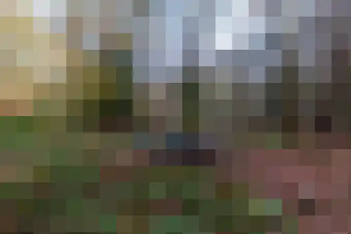 Villapark 1 Tynaarlo thumbnail 43