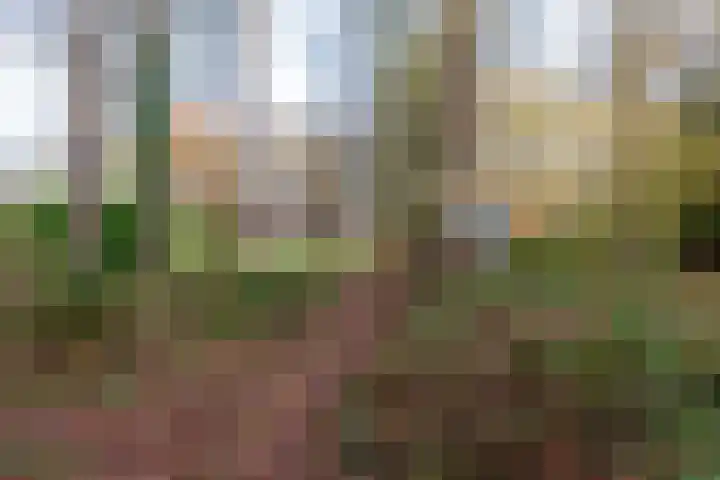 Villapark 1 Tynaarlo thumbnail 44