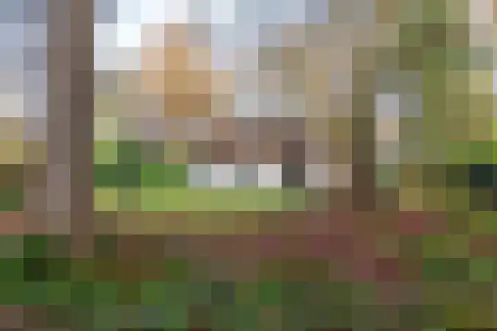 Villapark 1 Tynaarlo thumbnail 45