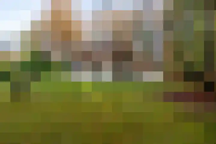 Villapark 1 Tynaarlo thumbnail 46