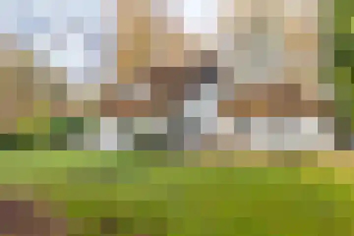 Villapark 1 Tynaarlo thumbnail 47
